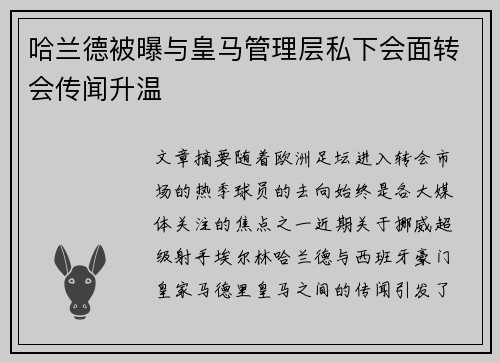 哈兰德被曝与皇马管理层私下会面转会传闻升温